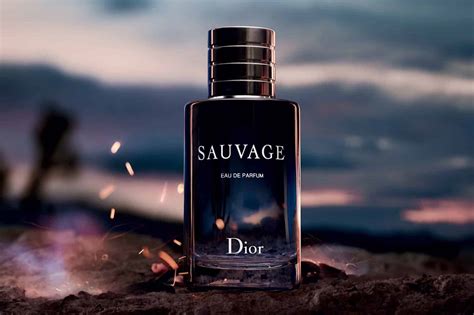 dior sauvage top|most expensive dior sauvage.